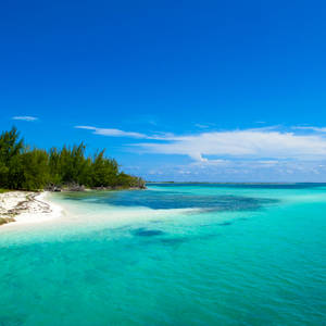 Traumhafter Strand am Playa Paraiso © Littleladylove, Dreamstime.com