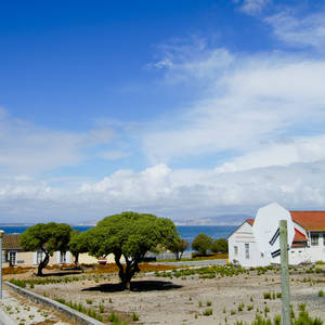 Robben Island © Adwo, Dreamstime.com