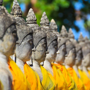 Buddhastatuen am Wat-Yai-Chai-Mongkon-Tempel © Riverrail, Dreamstime.com